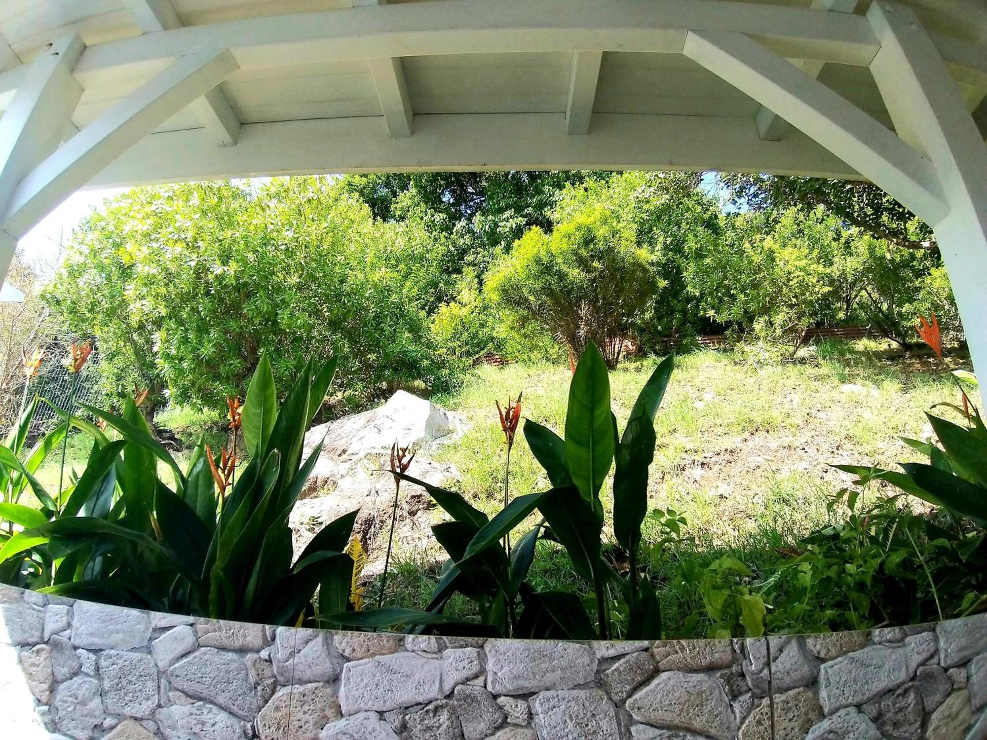Villa Cana Et Son Spa A Terre De Haut Exterior foto